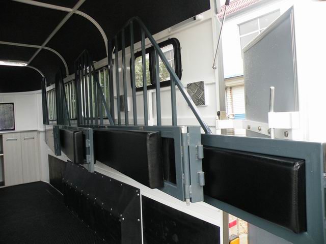 Deluxe-Pferdepose für 3 Pferde