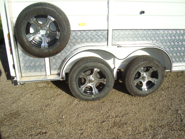 Verlängerter Winkellast-Pferdeschwimmer für 2 Pferde